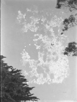 Negative, Glass-plate