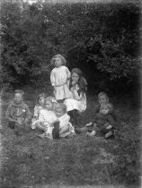 Negative, Glass-plate