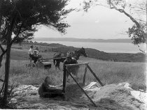 Negative, Glass-plate
