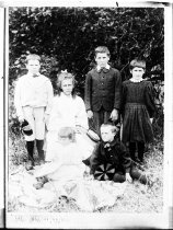 Negative, Glass-plate