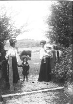 Negative, Glass-plate