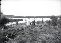 Negative, Glass-plate