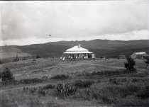 Negative, Glass-plate