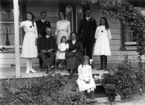 Negative, Glass-plate