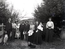 Negative, Glass-plate