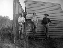 Negative, Glass-plate