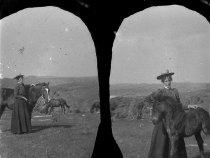 Negative, Glass-plate