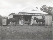 Negative, Glass-plate