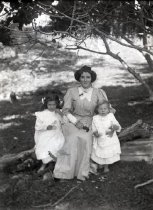 Negative, Glass-plate