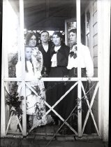 Negative, Glass-plate