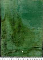 The Story of the Kauri