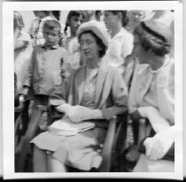 Lady Fergusson Wellsford Show