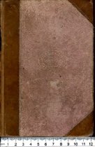 Lady Rose's Daughter