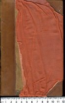 Physiology of Common Life Vol II