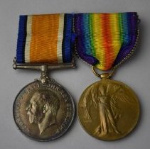 Catalog Number 017.01.9