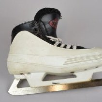 Skate, Ice