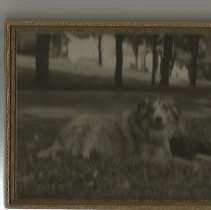 Photo from the Frizgerald Collection