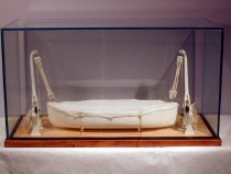 TRAINING DAVITS LIFEBOAT