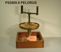 pelorus