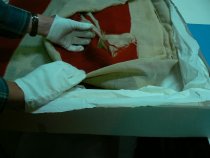 45 Star United States National Flag