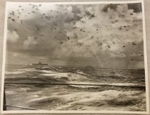 Battle of Santa Cruz