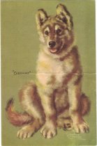 Alaska Steamship Company Menu