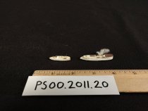 Miniature Ship Models