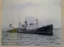 Sea Lion and Canadian Importer