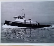 Tug Wasp