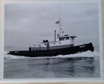 Tug Wasp