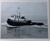 Tug Wasp