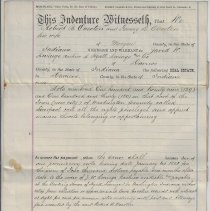 1881 mortgage given by Robert and Fanny Overton on lots 129 and 130 in Wash