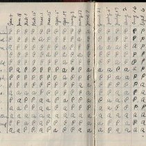 Minute Book of the U.S. Grant Circle, No. 19, Ladies of the Grand Army of t