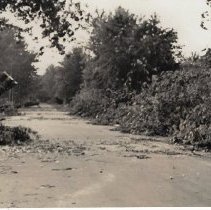 1938 storm damage in Washington
