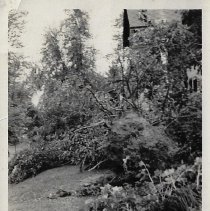 1938 storm damage in Washington
