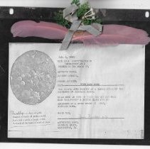 1980 certificate received by Lena Dunn from Eastgate Manor Nursing Home