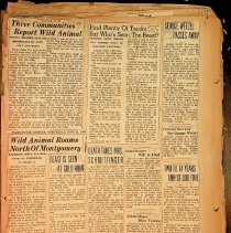 BOGNER SCRAPBOOK 10 p. 82