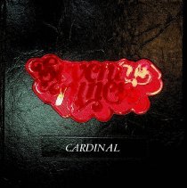 1979 Washington Catholic High School yearbook