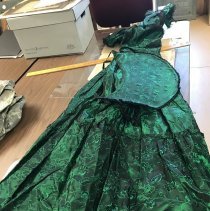 Mary Fitzpatrick's Sesquicentennial Dress