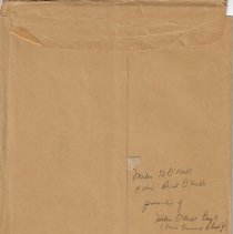 Family tree for Miles G. and Ettie Read O'Neall (ca. 1900-1910)