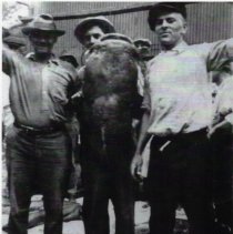 90 pound catfish caught in 1922