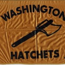 Gold and black WHS banner (ca. 2005-2011)