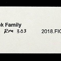 Mark & Louise (Peek) Richard & Fenton & Mary (Peek) Mathews families
