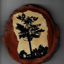 Wood from pine tree at Bethel Church south of Wa