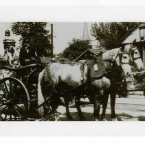 Horse drawn fire engine in Washington (ca. 1956)