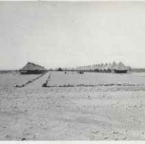 Camp of 77th Infantry Division (1943)