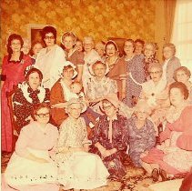 Women at a 1976 DAR event