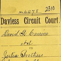 David R. Carrico, et. al. v. Julia Brothers, et. al. 1887 lawsuit