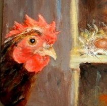 Hen Closeup