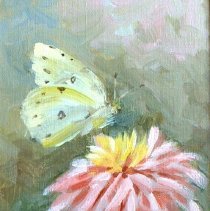 Butterfly On Zinnia